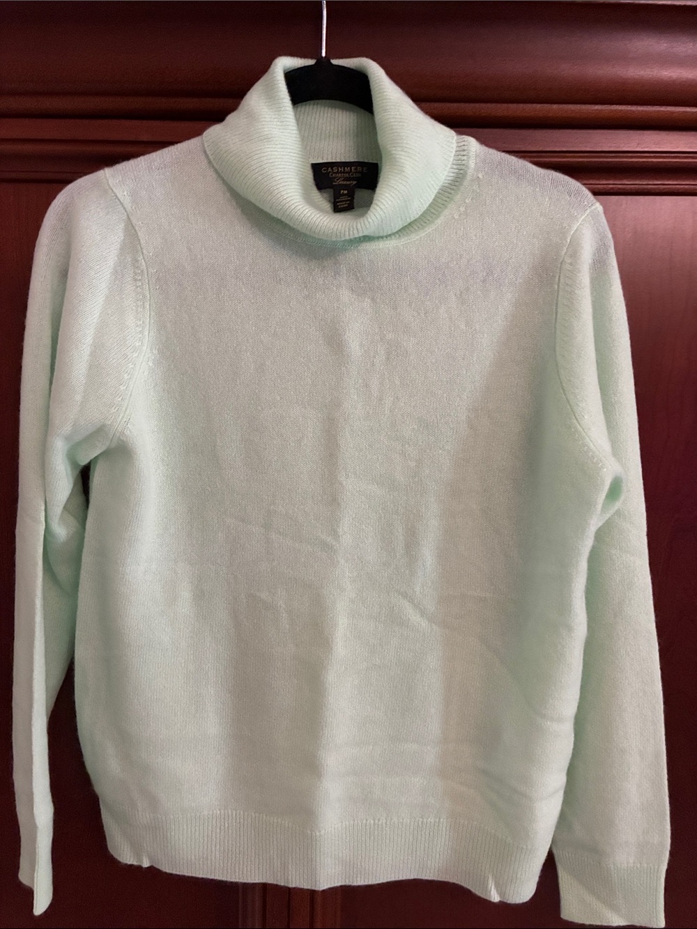 Charter Club Mint Green Cashmere Turtleneck Sweater